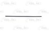 FIAT 716910080 Trim/Protective Strip, door